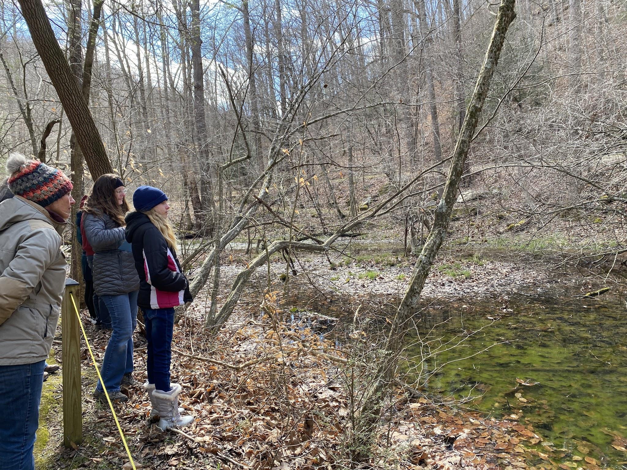 Workshop participants observe a vernal pool near Buckeye, Pocahontas County (April, 2023)