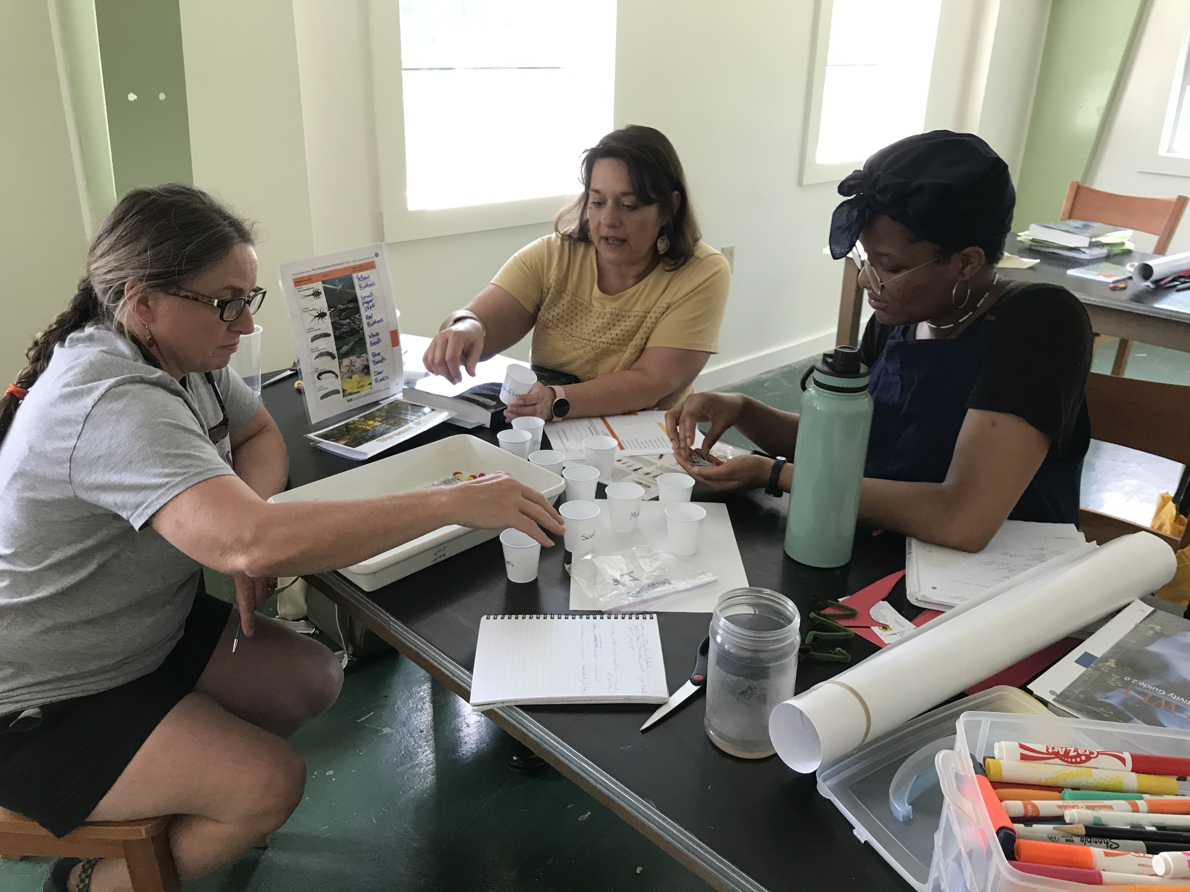 Workshop attendees participate in 'Water Quality? Ask the Bugs', an activity that simulates a bioassessment of a stream.