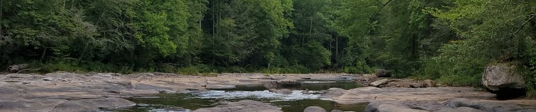 A clean, flowing stream against a background of forest.