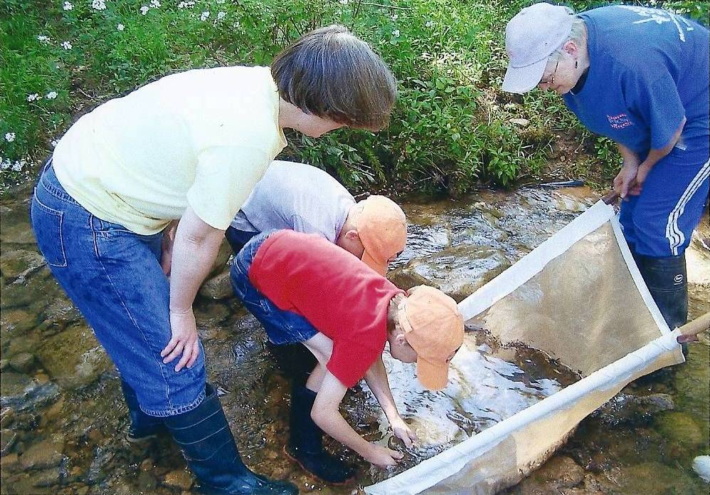 A study group wading in a stream.