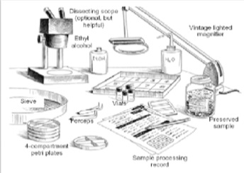 Sorting Equipment