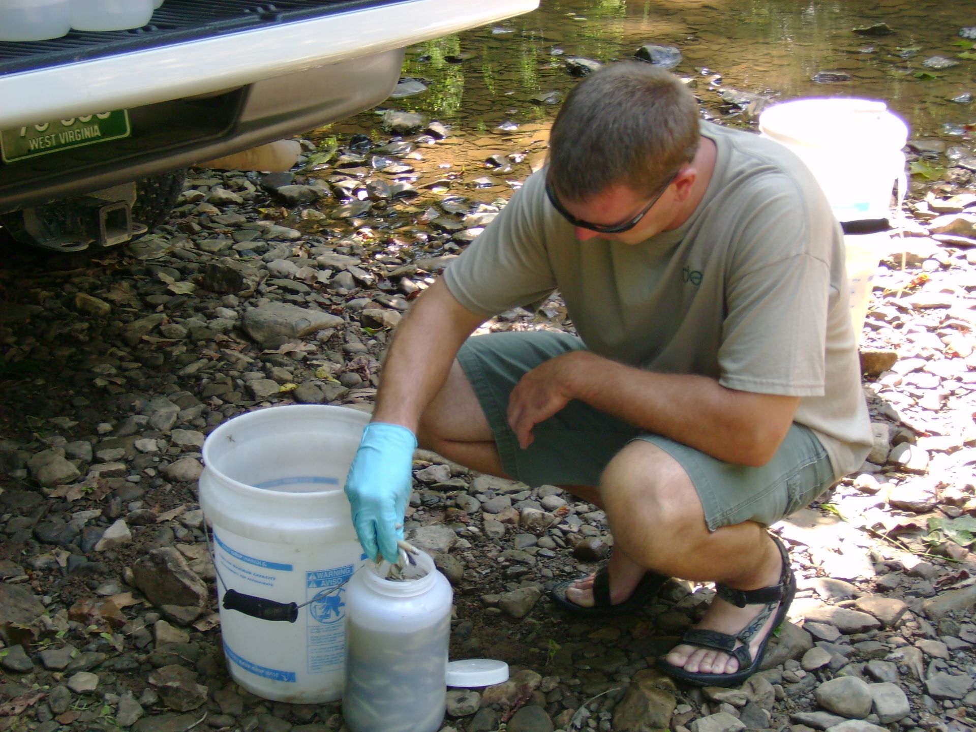 Inspector taking a sample