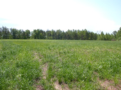 Jackson County Landfill