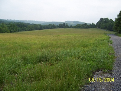 Kingwood Landfill