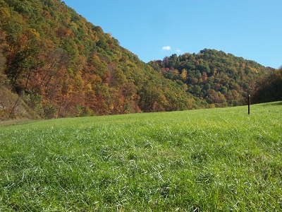 Montgomery Landfill