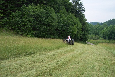 Wyoming County Landfill