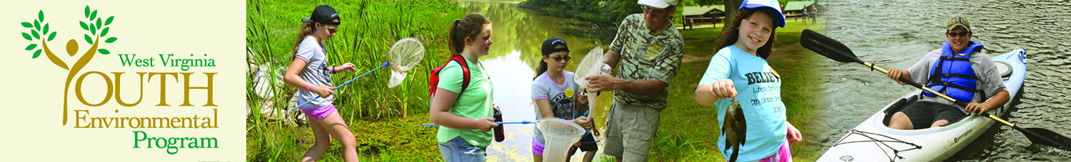 Youth Environment Program